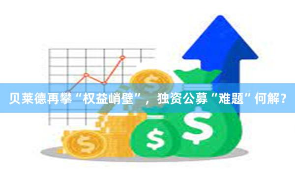 贝莱德再攀“权益峭壁”，独资公募“难题”何解？