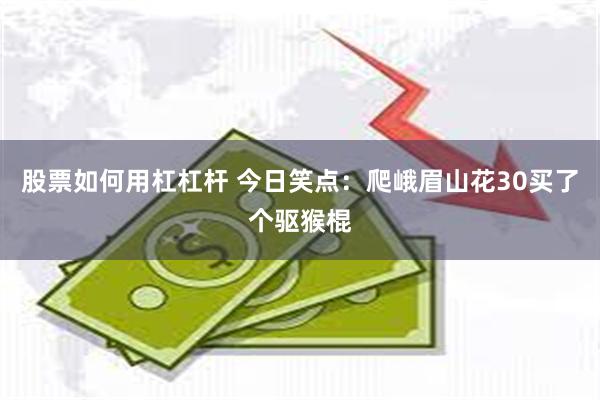 股票如何用杠杠杆 今日笑点：爬峨眉山花30买了个驱猴棍