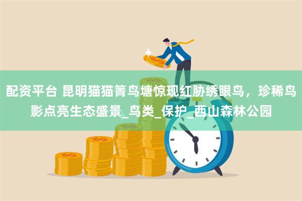 配资平台 昆明猫猫箐鸟塘惊现红胁绣眼鸟，珍稀鸟影点亮生态盛景_鸟类_保护_西山森林公园