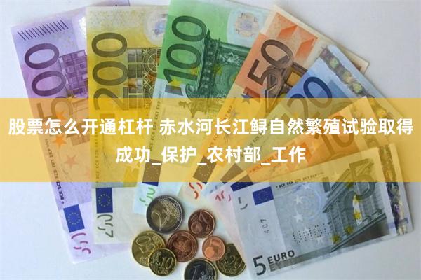 股票怎么开通杠杆 赤水河长江鲟自然繁殖试验取得成功_保护_农村部_工作