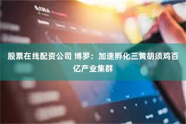 股票在线配资公司 博罗：加速孵化三黄胡须鸡百亿产业集群