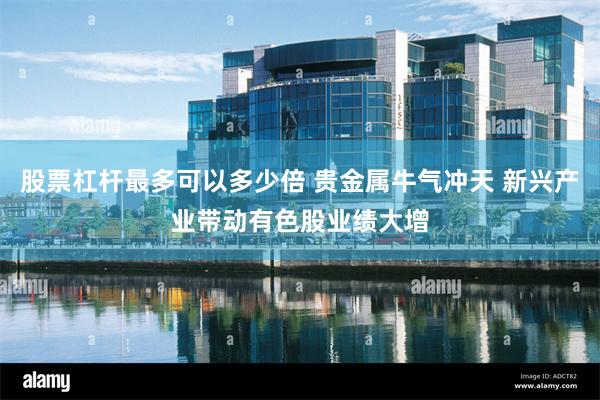 股票杠杆最多可以多少倍 贵金属牛气冲天 新兴产业带动有色股业绩大增