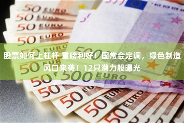 股票如何上杠杆 重磅利好！国常会定调，绿色制造风口来袭！12只潜力股曝光