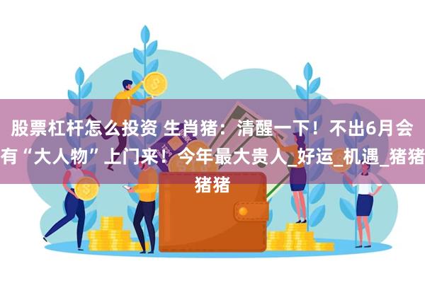 股票杠杆怎么投资 生肖猪：清醒一下！不出6月会有“大人物”上门来！今年最大贵人_好运_机遇_猪猪