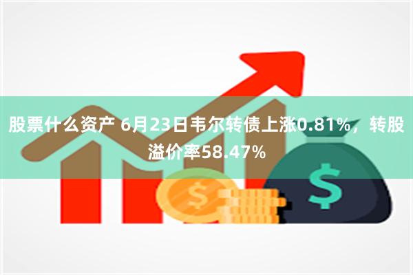 股票什么资产 6月23日韦尔转债上涨0.81%，转股溢价率58.47%